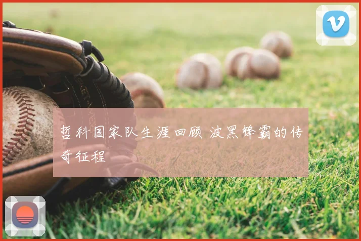 哲科国家队生涯回顾 波黑锋霸的传奇征程